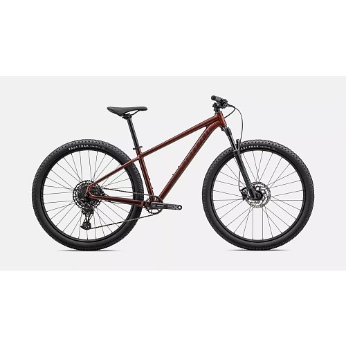 Kolo Speialized Rockhopper Expert 29 Gloss Rusted Red/ Satin Rusted Red extremsport.cz