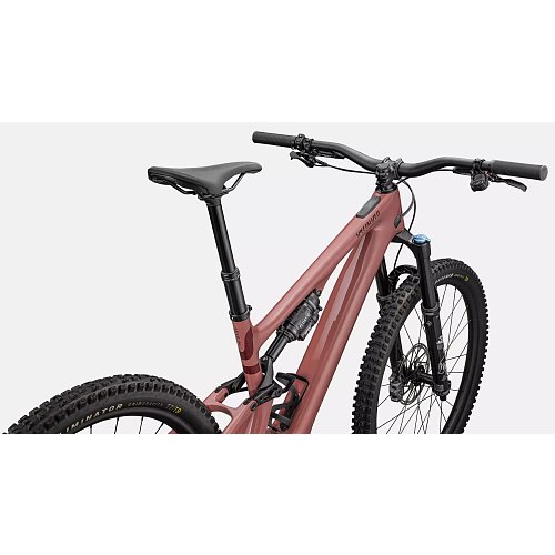 Turbo Levo SL 2 Comp Spice / Maroon / Obsidian extremsport.cz