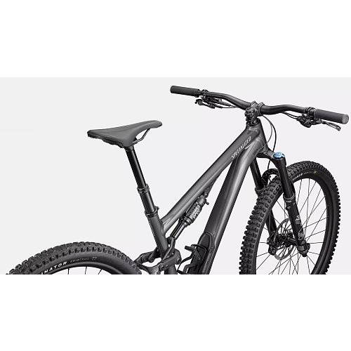 Horské kolo Specialized Stumpjumper 15 Comp Alloy Gloss Smoke / Cool Grey extremsport.cz