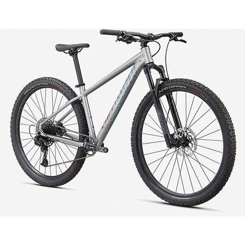 Kolo Specialized Rockhopper Expert 29 Satin Silver Dust / Black Holographic extremsport.cz