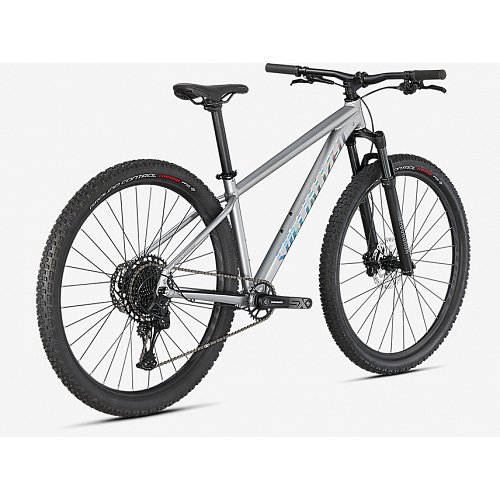 Kolo Specialized Rockhopper Expert 29 Satin Silver Dust / Black Holographic extremsport.cz