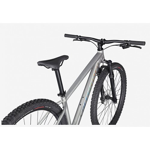 Kolo Specialized Rockhopper Expert 29 Satin Silver Dust / Black Holographic extremsport.cz