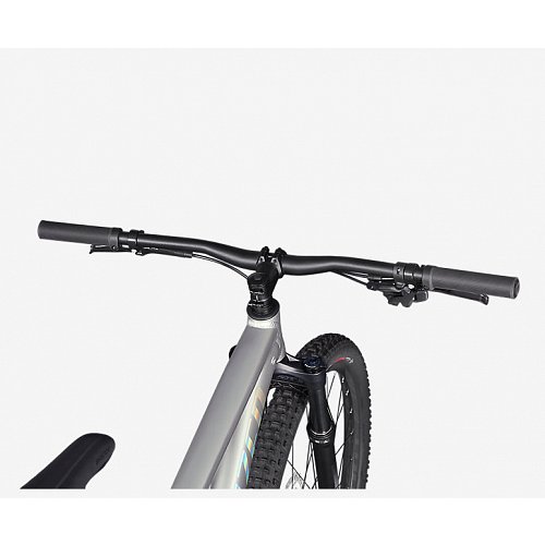 Kolo Specialized Rockhopper Expert 29 Satin Silver Dust / Black Holographic extremsport.cz