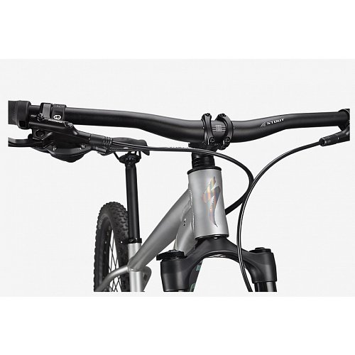 Kolo Specialized Rockhopper Expert 29 Satin Silver Dust / Black Holographic extremsport.cz